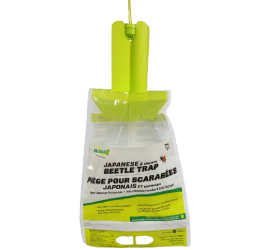 Japanese Beetle Trap