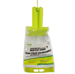 Japanese Beetle Trap