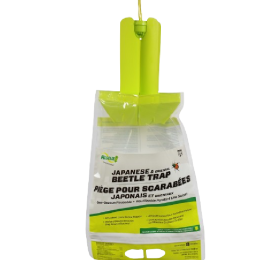 Japanese Beetle Trap