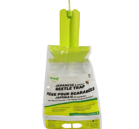 Japanese Beetle Trap