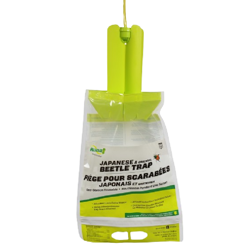 Japanese Beetle Trap